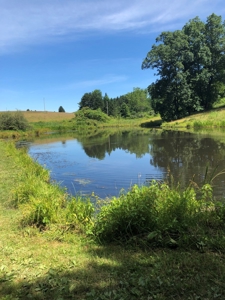 Woodsfield OH, Monroe County RV Park/Camping Resort - image 16