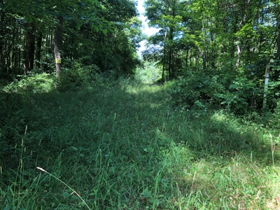 Woodsfield OH, Monroe County RV Park/Camping Resort - image 18