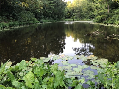 Woodsfield OH, Monroe County RV Park/Camping Resort - image 10