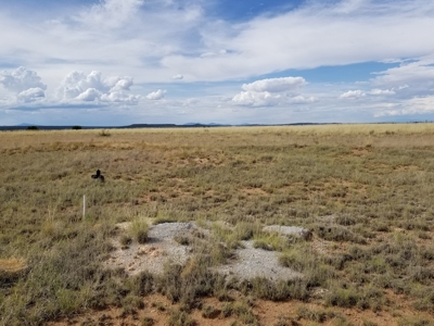 9.97 Acres in Estancia Valley – Mountain Views & Space - image 2
