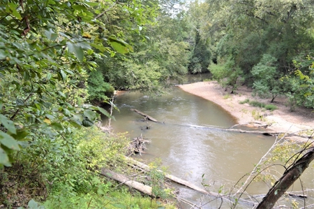 Recreational Hunting Land Timberland for Sale Pike County MS - image 16