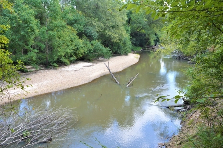Recreational Hunting Land Timberland for Sale Pike County MS - image 18