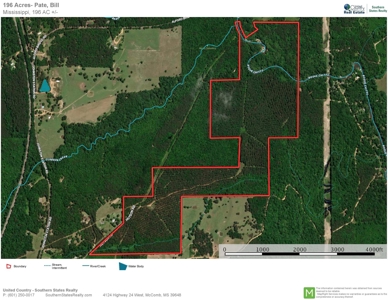 Recreational Hunting Land Timberland for Sale Pike County MS - image 3