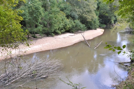 Recreational Hunting Land Timberland for Sale Pike County MS - image 25