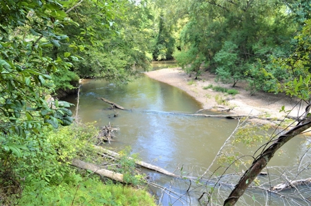 Recreational Hunting Land Timberland for Sale Pike County MS - image 21