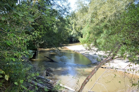 Recreational Hunting Land Timberland for Sale Pike County MS - image 29