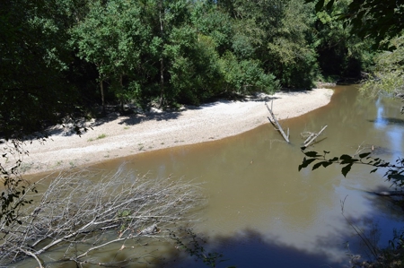 Recreational Hunting Land Timberland for Sale Pike County MS - image 31