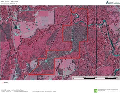 Recreational Hunting Land Timberland for Sale Pike County MS - image 5