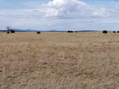 Vacant Land For Sale North of Estancia NM - image 1
