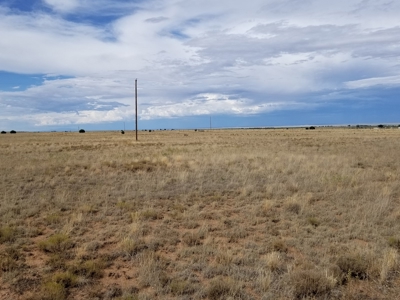 Vacant Land  For Sale North of Estancia NM 10 Ac Homesite - image 1