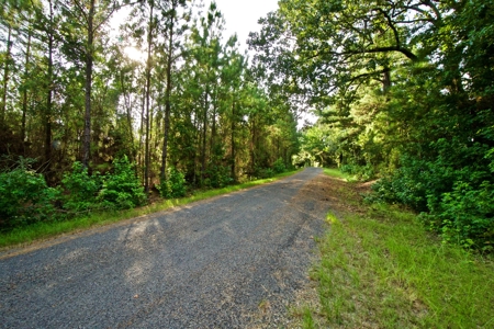 Recreational Timber Tract For Sale - 127 Acres - Sailes, La - image 20