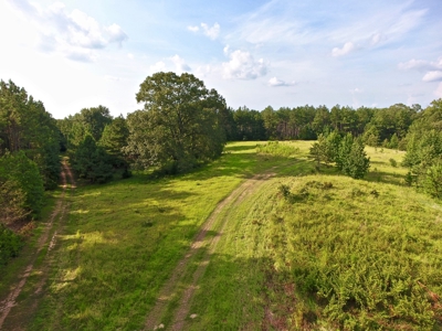 Recreational Timber Tract For Sale - 127 Acres - Sailes, La - image 3