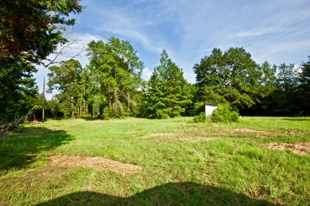 Recreational Timber Tract For Sale - 127 Acres - Sailes, La - image 22