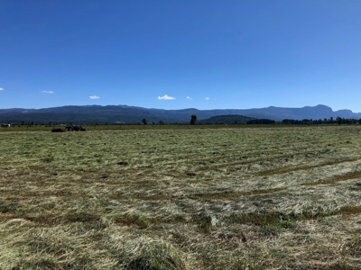 Great Farm for sale with irrigation and exsisting Hay Crop - image 2