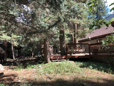 Home Near Ouray Colorado For Sale - image 7