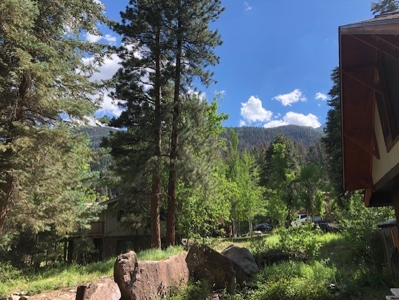 Home Near Ouray Colorado For Sale - image 9