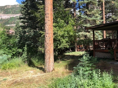 Home Near Ouray Colorado For Sale - image 4