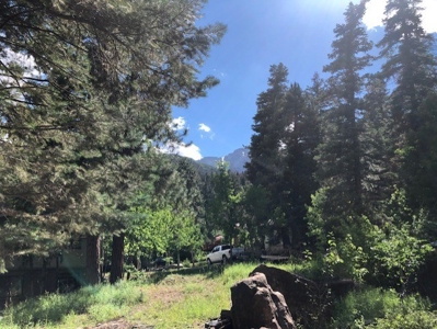 Home Near Ouray Colorado For Sale - image 10