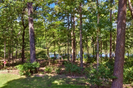 One Of A Kind - Lakefront Home For Sale - East Texas - image 43