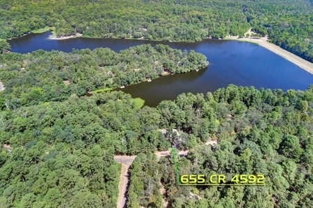 One Of A Kind - Lakefront Home For Sale - East Texas - image 7