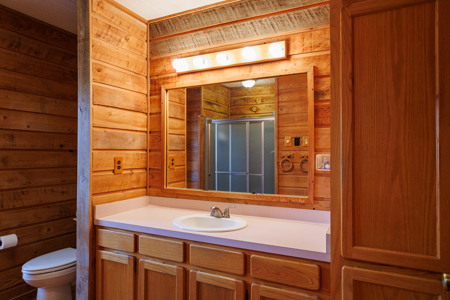 East Texas Cabin in the Woods Tyler TX Home for Sale on 25 Acres - image 33