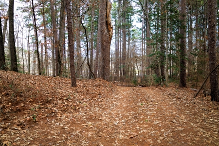 East Texas Cabin in the Woods Tyler TX Home for Sale on 25 Acres - image 49