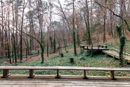 East Texas Cabin in the Woods Tyler TX Home for Sale on 25 Acres - image 5
