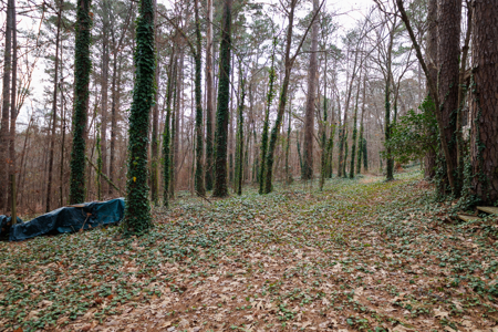 East Texas Cabin in the Woods Tyler TX Home for Sale on 25 Acres - image 9