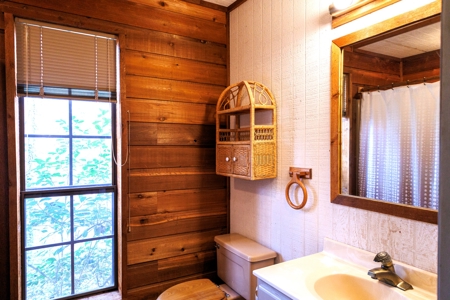 East Texas Cabin in the Woods Tyler TX Home for Sale on 25 Acres - image 35