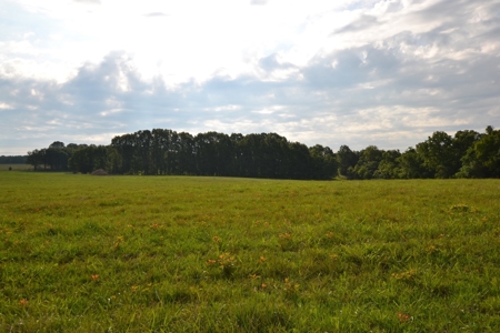 Cattle Farm and Home for Sale in South Central Missouri - image 26