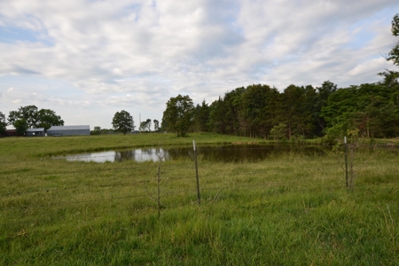Cattle Farm and Home for Sale in South Central Missouri - image 20