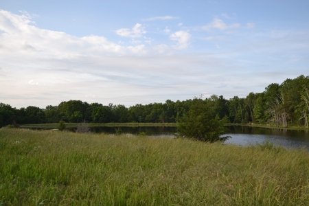 Cattle Farm and Home for Sale in South Central Missouri - image 13