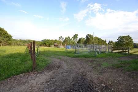 Cattle Farm and Home for Sale in South Central Missouri - image 11