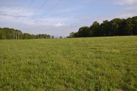 Cattle Farm and Home for Sale in South Central Missouri - image 18