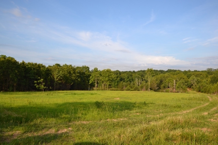 Cattle Farm and Home for Sale in South Central Missouri - image 12