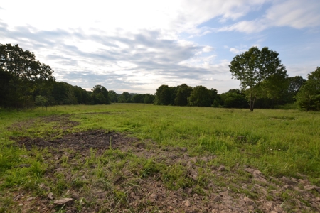 Cattle Farm and Home for Sale in South Central Missouri - image 19