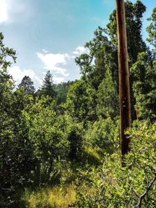Northern NM Land for Sale Chama NM Real Estate in the Brazos - image 8