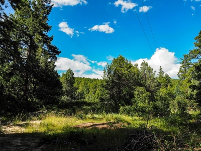 Northern NM Land for Sale Chama NM Real Estate in the Brazos - image 9