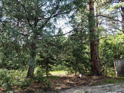 Northern NM Land for Sale Chama NM Real Estate in the Brazos - image 10