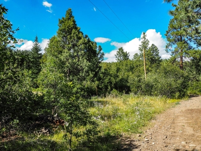 Northern NM Land for Sale Chama NM Real Estate in the Brazos - image 5