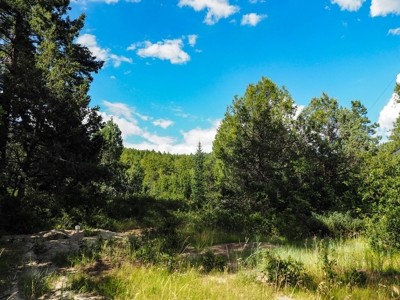 Northern NM Land for Sale Chama NM Real Estate in the Brazos - image 13