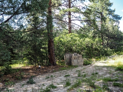 Northern NM Land for Sale Chama NM Real Estate in the Brazos - image 3