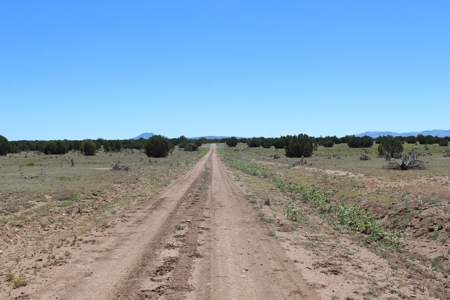 SALE PENDING - Large Acreage Sierra Verde Ranch - image 3
