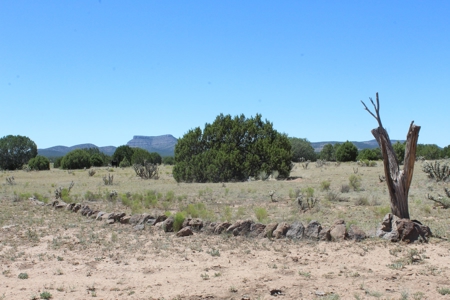 SALE PENDING - Large Acreage Sierra Verde Ranch - image 6