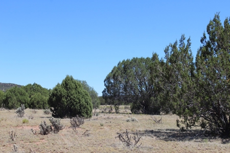 SALE PENDING - Large Acreage Sierra Verde Ranch - image 8