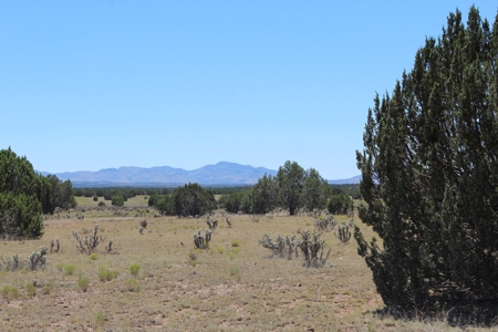 SALE PENDING - Large Acreage Sierra Verde Ranch - image 7