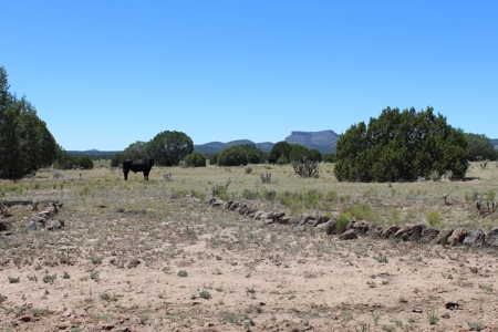 SALE PENDING - Large Acreage Sierra Verde Ranch - image 5