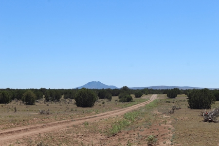 SALE PENDING - Large Acreage Sierra Verde Ranch - image 11