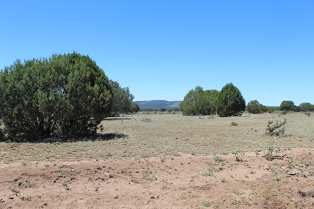 SALE PENDING - Large Acreage Sierra Verde Ranch - image 2