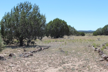 SALE PENDING - Large Acreage Sierra Verde Ranch - image 1